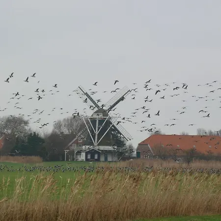 Bauernhofurlaub In Der 